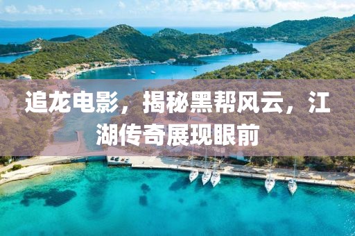 追龍電影，揭秘黑幫風(fēng)云，江湖傳奇展現(xiàn)眼前
