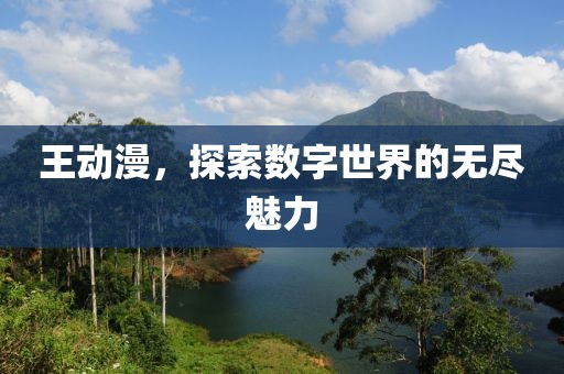 王動漫，探索數(shù)字世界的無盡魅力