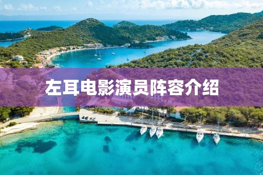 左耳電影演員陣容介紹