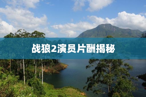 戰(zhàn)狼2演員片酬揭秘