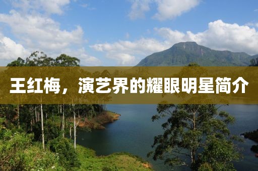 王紅梅，演藝界的耀眼明星簡介