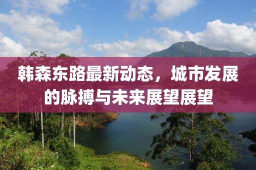 韓森東路最新動態(tài)，城市發(fā)展的脈搏與未來展望展望