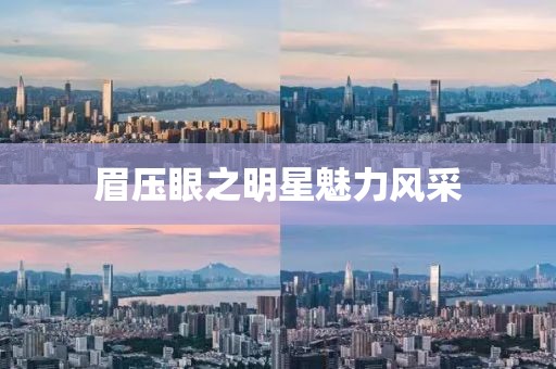 眉?jí)貉壑餍趋攘︼L(fēng)采