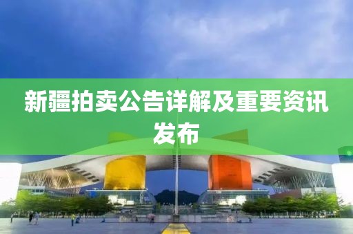 新疆拍賣公告詳解及重要資訊發(fā)布