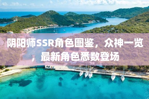陰陽師SSR角色圖鑒，眾神一覽，最新角色悉數(shù)登場(chǎng)