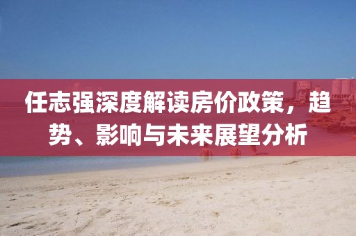 任志強深度解讀房價政策，趨勢、影響與未來展望分析