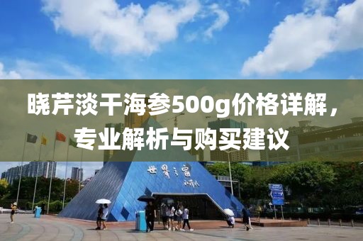 曉芹淡干海參500g價格詳解，專業(yè)解析與購買建議