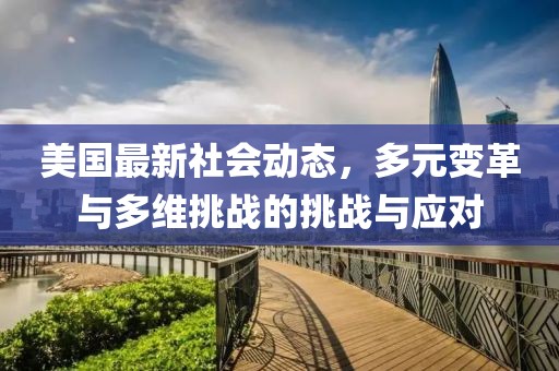 美國最新社會動態(tài)，多元變革與多維挑戰(zhàn)的挑戰(zhàn)與應(yīng)對