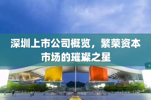 深圳上市公司概覽，繁榮資本市場的璀璨之星