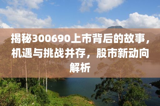 揭秘300690上市背后的故事，機遇與挑戰(zhàn)并存，股市新動向解析