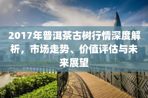 2017年普洱茶古樹行情深度解析，市場(chǎng)走勢(shì)、價(jià)值評(píng)估與未來(lái)展望