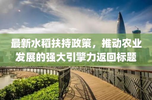 最新水稻扶持政策，推動農(nóng)業(yè)發(fā)展的強大引擎力返回標題