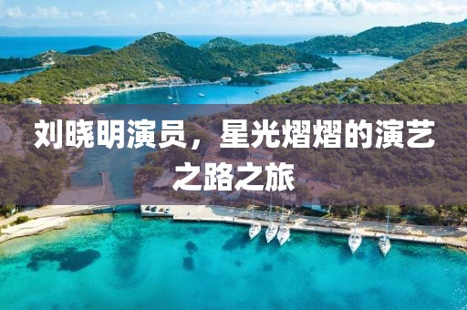 劉曉明演員，星光熠熠的演藝之路之旅