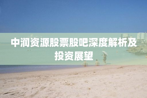中潤資源股票股吧深度解析及投資展望