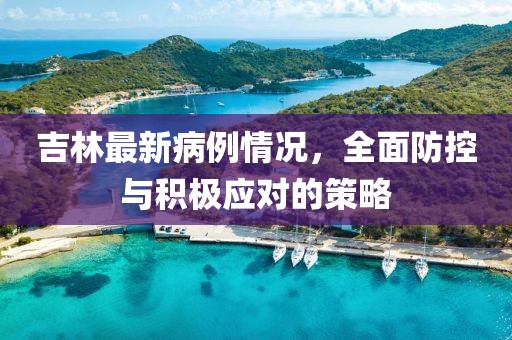 吉林最新病例情況，全面防控與積極應(yīng)對的策略