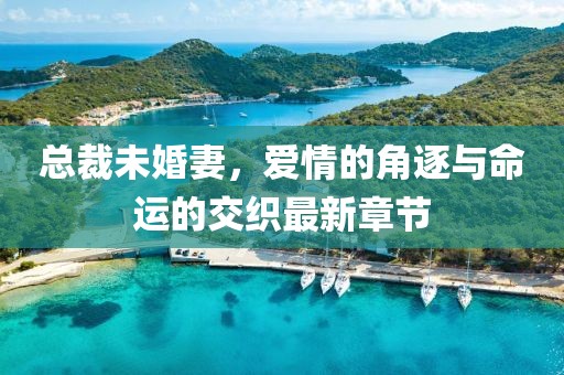 總裁未婚妻，愛(ài)情的角逐與命運(yùn)的交織最新章節(jié)