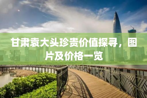 甘肅袁大頭珍貴價值探尋，圖片及價格一覽