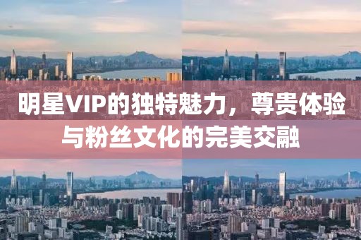明星VIP的獨特魅力，尊貴體驗與粉絲文化的完美交融
