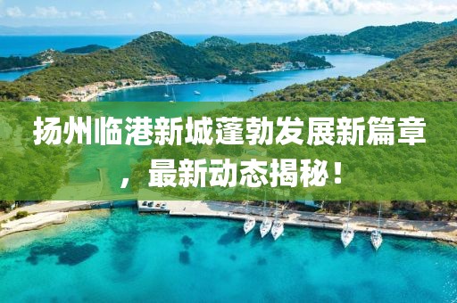 揚(yáng)州臨港新城蓬勃發(fā)展新篇章，最新動(dòng)態(tài)揭秘！