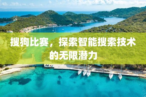 搜狗比賽，探索智能搜索技術(shù)的無(wú)限潛力