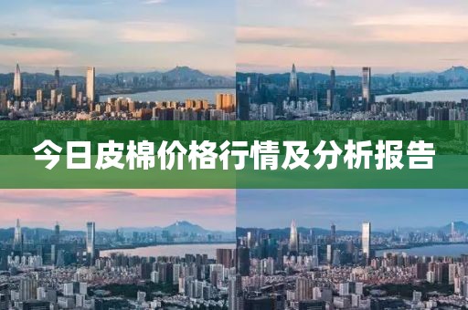 今日皮棉價(jià)格行情及分析報(bào)告