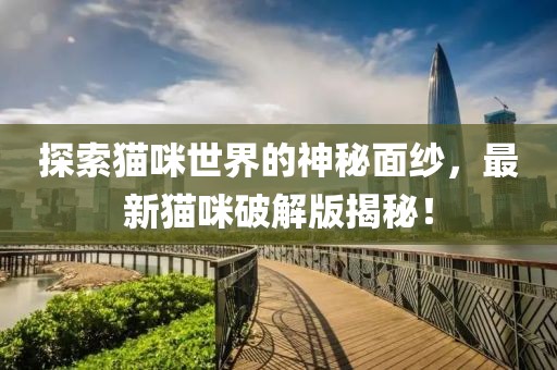 探索貓咪世界的神秘面紗，最新貓咪破解版揭秘！