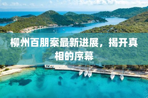 柳州百朋案最新進(jìn)展，揭開真相的序幕