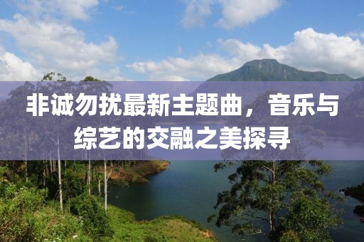 非誠(chéng)勿擾最新主題曲，音樂(lè)與綜藝的交融之美探尋