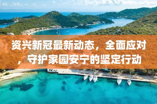 資興新冠最新動(dòng)態(tài)，全面應(yīng)對(duì)，守護(hù)家園安寧的堅(jiān)定行動(dòng)
