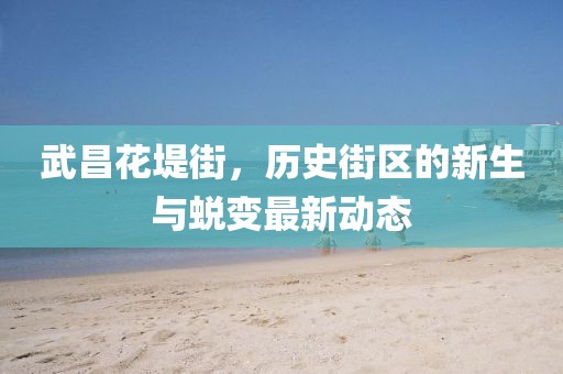 武昌花堤街，歷史街區(qū)的新生與蛻變最新動(dòng)態(tài)
