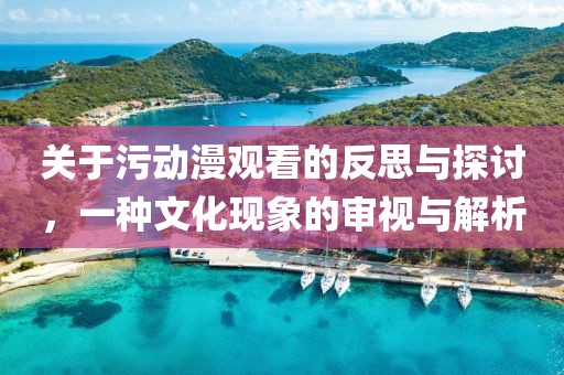 關(guān)于污動漫觀看的反思與探討，一種文化現(xiàn)象的審視與解析