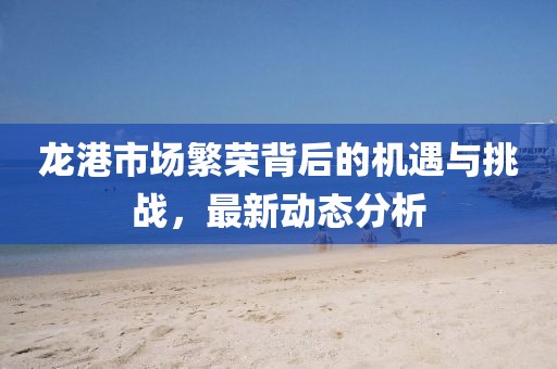 龍港市場繁榮背后的機遇與挑戰(zhàn)，最新動態(tài)分析