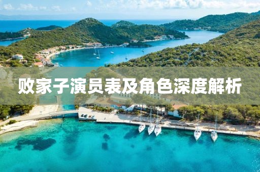 敗家子演員表及角色深度解析