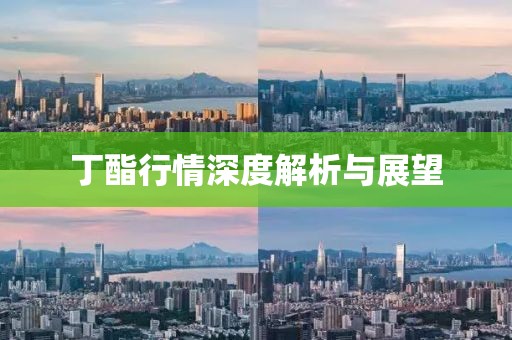 丁酯行情深度解析與展望