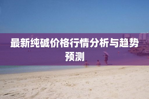 最新純堿價格行情分析與趨勢預測
