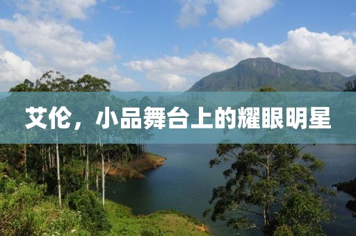 艾倫，小品舞臺上的耀眼明星