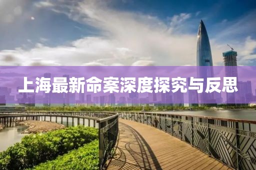 上海最新命案深度探究與反思