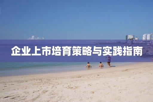 企業(yè)上市培育策略與實踐指南