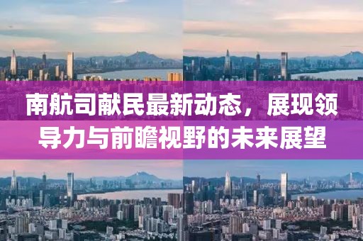 南航司獻民最新動態(tài)，展現(xiàn)領(lǐng)導(dǎo)力與前瞻視野的未來展望