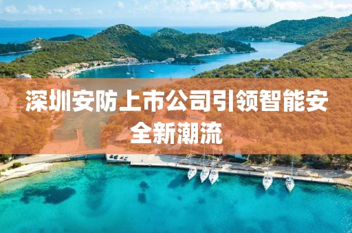 深圳安防上市公司引領(lǐng)智能安全新潮流