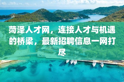 菏澤人才網(wǎng)，連接人才與機遇的橋梁，最新招聘信息一網(wǎng)打盡