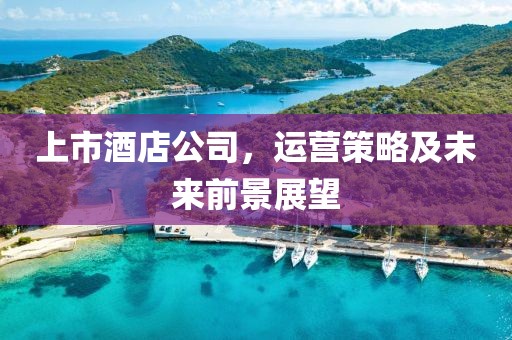 上市酒店公司，運(yùn)營(yíng)策略及未來(lái)前景展望