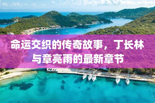 命運(yùn)交織的傳奇故事，丁長(zhǎng)林與章亮雨的最新章節(jié)