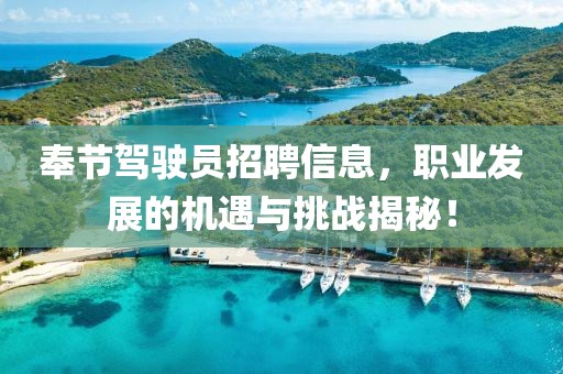 奉節(jié)駕駛員招聘信息，職業(yè)發(fā)展的機遇與挑戰(zhàn)揭秘！