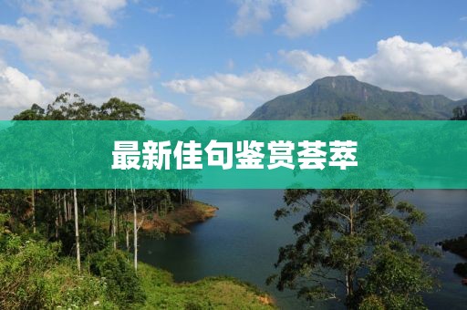 最新佳句鑒賞薈萃