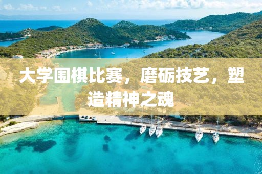 大學(xué)圍棋比賽，磨礪技藝，塑造精神之魂