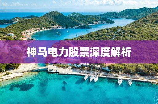 神馬電力股票深度解析