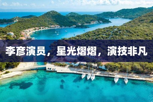 李彥演員，星光熠熠，演技非凡