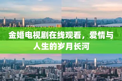 金婚電視劇在線觀看，愛情與人生的歲月長河