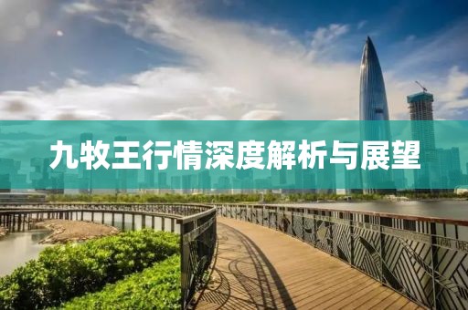 九牧王行情深度解析與展望